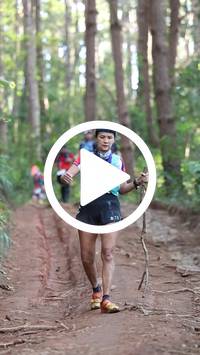 BIB:  <button type="button" onclick="openModal(26569903)" class="btn btn-primary btn-sm float-right" data-toggle="modal" data-target=".modal-high-quality">
                <i class="fa fa-download"></i> Download
                </button>